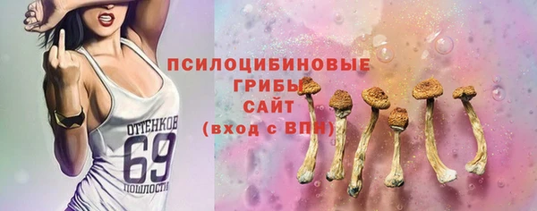мдпв Арсеньев