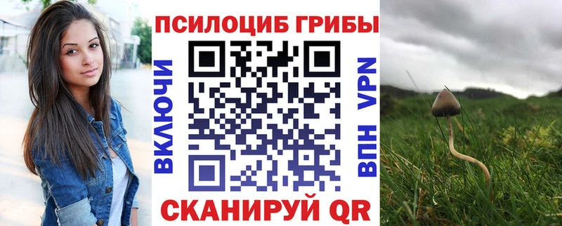 Псилоцибиновые грибы MAGIC MUSHROOMS  купить   OMG ONION  Канаш 