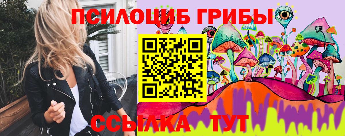 Галлюциногенные грибы прущие грибы Канаш
