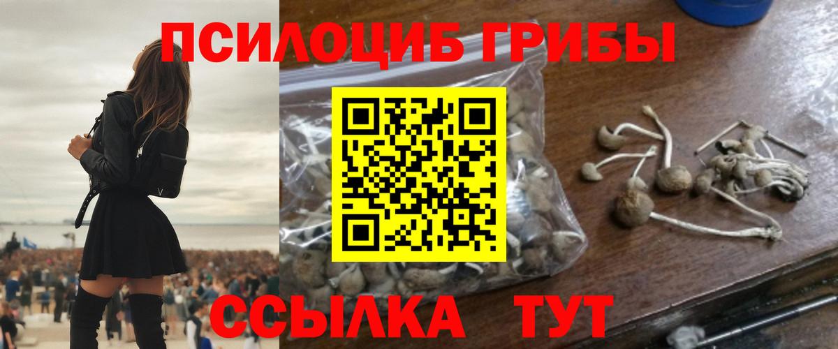 Псилоцибиновые грибы Psilocybe  Вход с VPN  цены   Канаш 